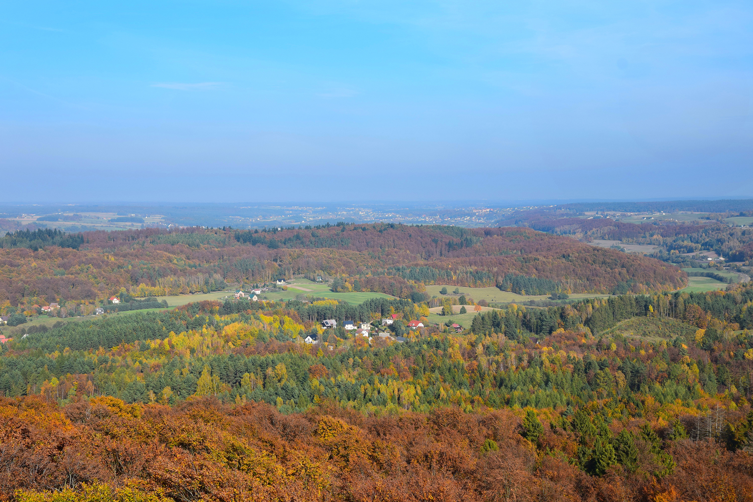 widok1