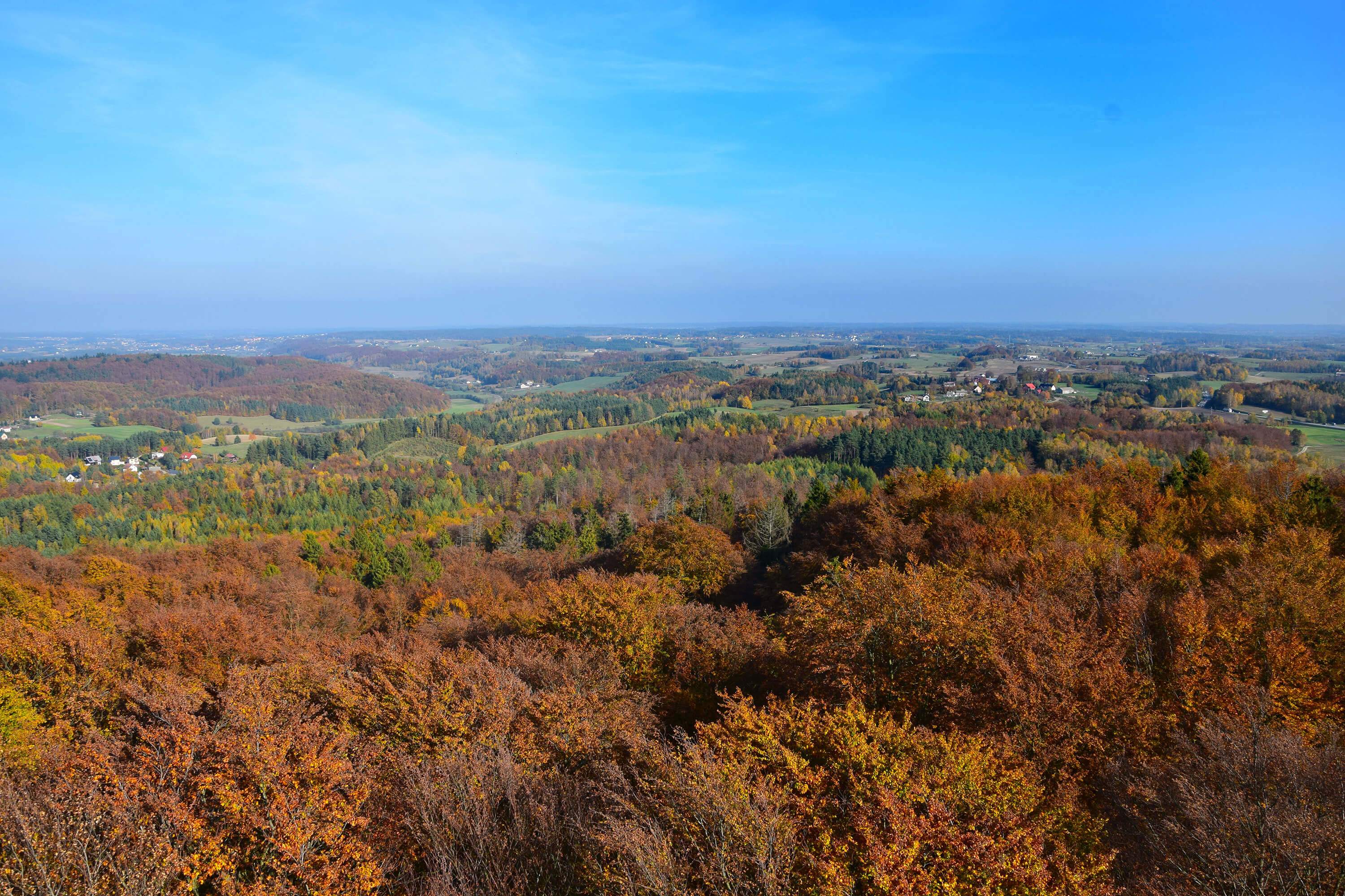 widok1