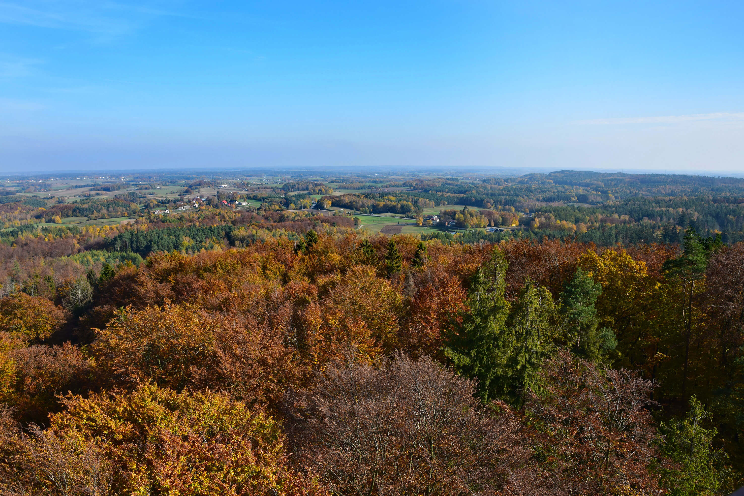 widok1